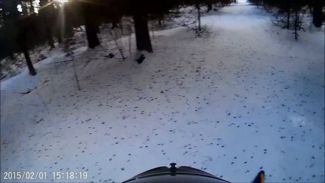 Покатушки на irbis dingo t150, прорубаем дорогу через лес смотреть онлайн