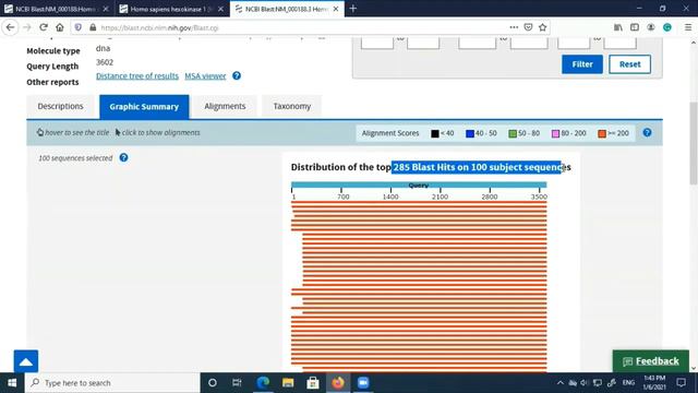 BLAST - BASIC LOCAL ALIGNMENT SEARCH TOOL #BLAST#NCBI#SEQUENCEALIGNMENT#BLASTN#BIOINFORMATICS TOOLS смотреть онлайн