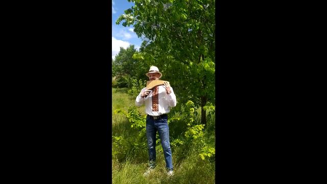 Черемшина - / Panflute cover / Vasyl Ilechko смотреть онлайн