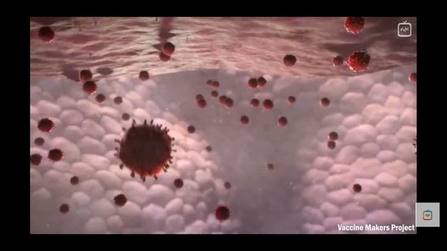 1. Коронавирус vs Организм. COVID-19 #коронавирус #Covid19 #вирус #china #russia #world смотреть онлайн