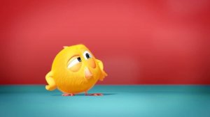 Where's Chicky Funny Chicky 2020  BABY CHICKY  Chicky Cartoon in English for Kids