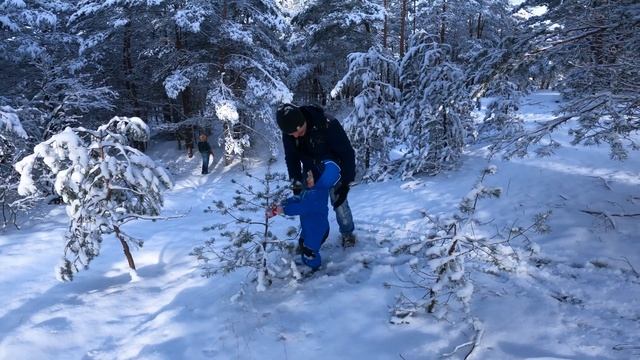 Зимняя сказка. Прогулка в сосновом бору. Семейное видео - выходные вместе с нами. VLOG/ АСМР/ASMR смотреть онлайн