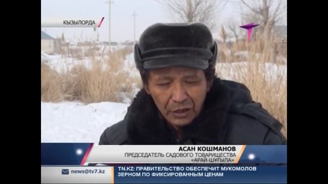 На окраине Кызылорды люди живут в дачном поселке без воды смотреть онлайн