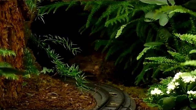 Testing Lumix DMC-FZ28 HD quality in the Holiday Train Show, The Botanical Garden of N.Y. смотреть онлайн