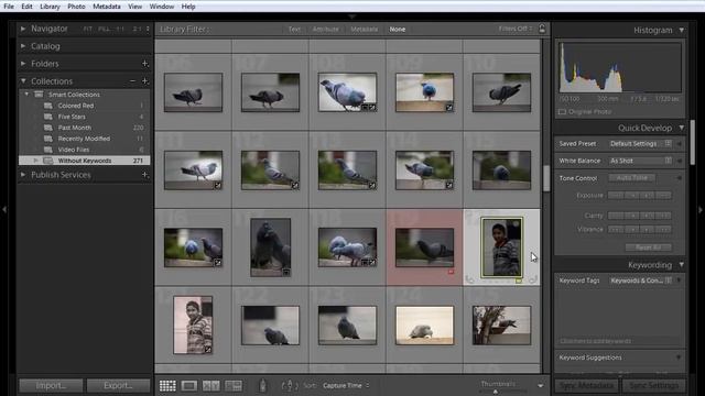 Adobe Photoshop Lightroom | Collection Feature in Library | Step by Step Tutorial смотреть онлайн