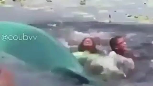 Ох уж эти собаки смотреть онлайн