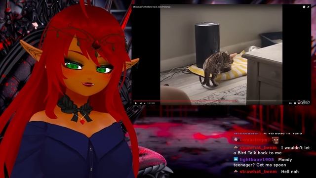 BARK BARK!! | Daily Dose of Internet Reaction смотреть онлайн