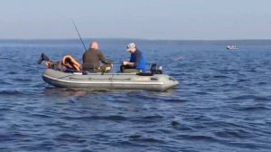 Ловля камбалы на Белом море.