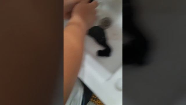 ЛайвХак СТИРКА НОСКОВ ??????!!!!! смотреть онлайн