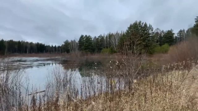 Красноярский край, Красноярск, Емельяновский район/2.2 Га/Вокруг сосновый Бор /Озеро /Цена : 3 млн смотреть онлайн