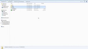 Как добавить новые автомобили  City Car Driving 1.5.3
