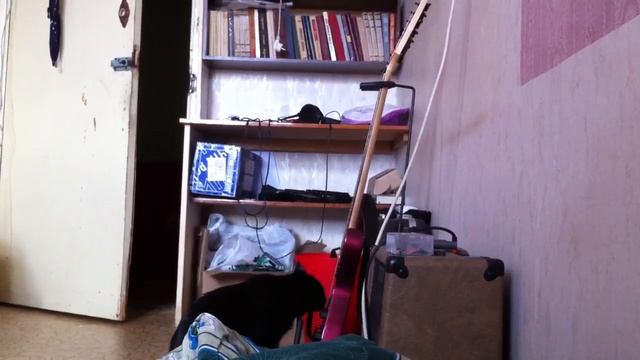 Киска играет на гитаре смотреть онлайн