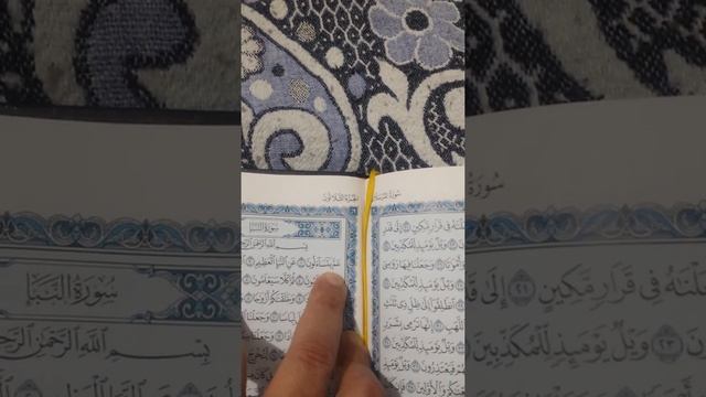 (1044) عَمَّهْ " وقف بهاءِ السَّكْت فله ان يقفَ ويَبْتَدِىءَ { يَتَسَآءَلُونَ عَنِ смотреть онлайн