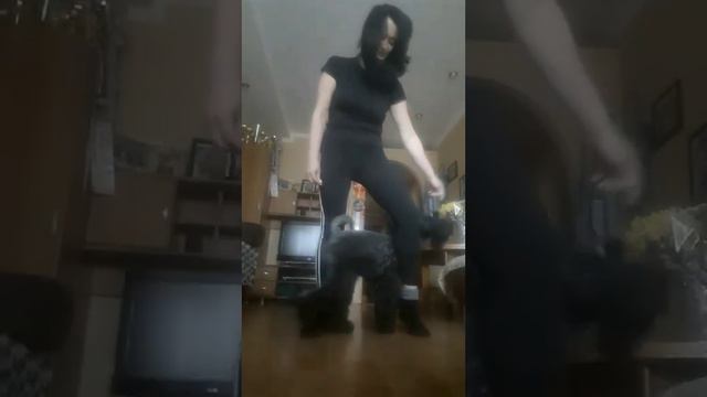 Керри блю терьер и трюковая дрессировка смотреть онлайн