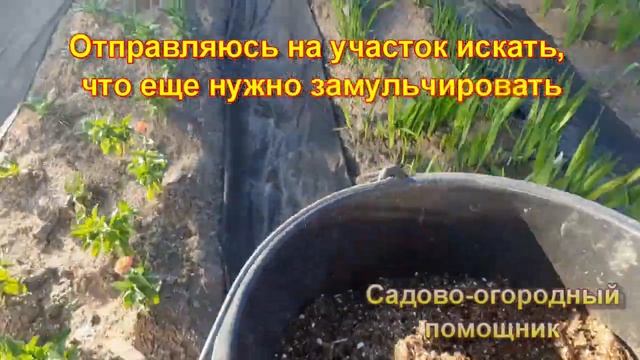 Делаю мульчу из того что есть смотреть онлайн