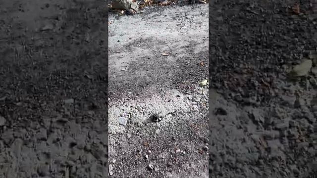 Заброшенная ракетная база. Эсхар смотреть онлайн