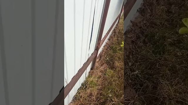 Восстановление забора часть 2 смотреть онлайн