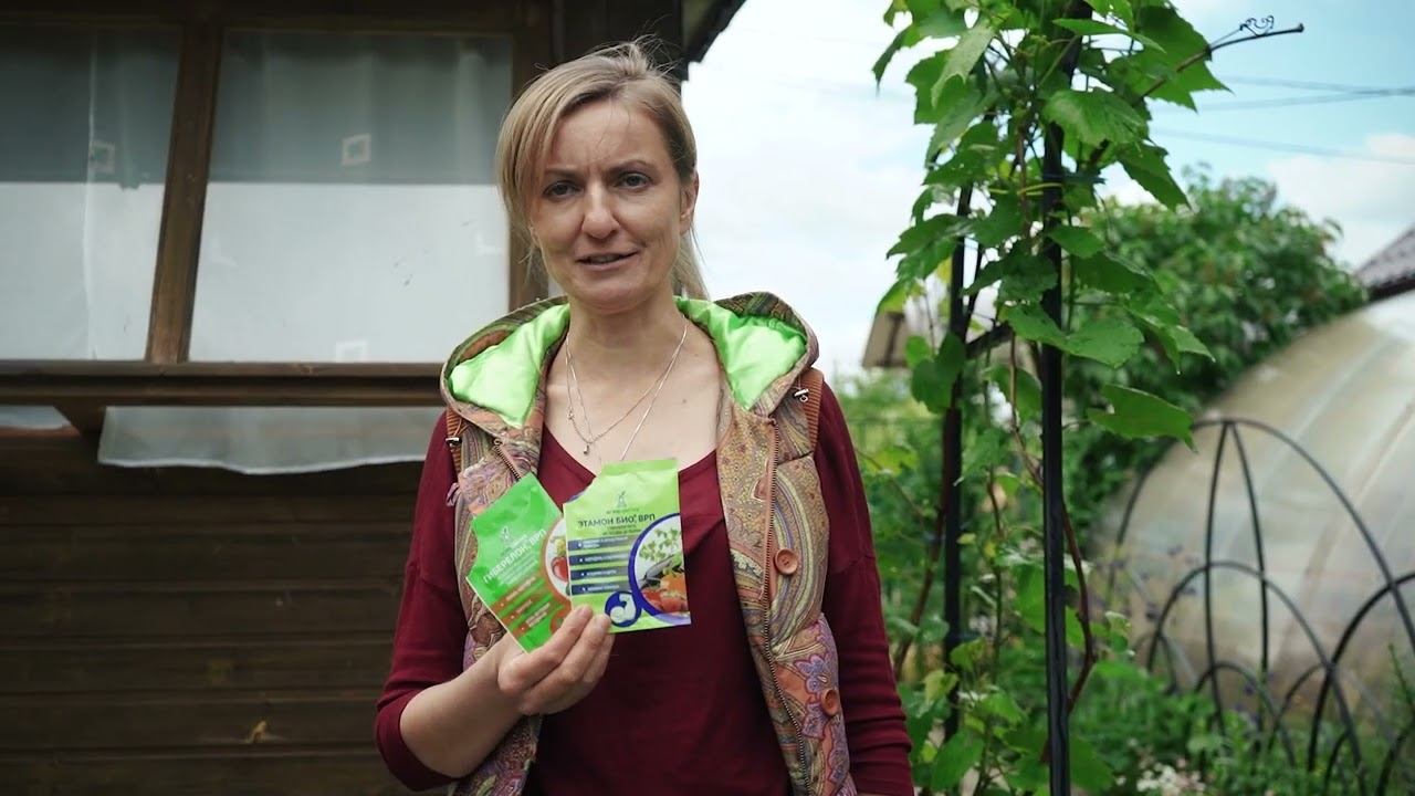 SS 104Советы и секреты | смотреть онлайн