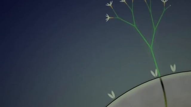 Eufloria — дерево в огромной вселенной. Игра для iPhone, iPad и Android смотреть онлайн