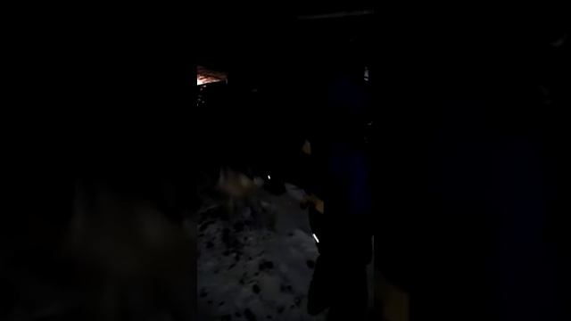 запуск Вис 230 610 Нива фургон смотреть онлайн