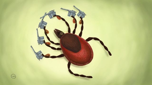 Лесные Друзья