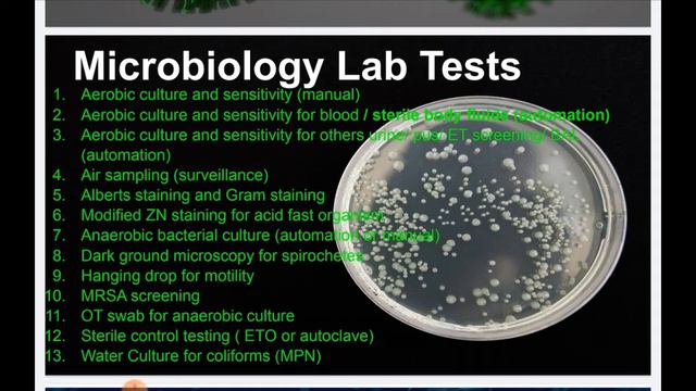 Microbiology test смотреть онлайн