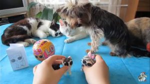 Мурка в стили лол петс А ну ка давайка 👍👍💞