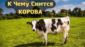К чему снится КОРОВА или видеть во сне КОРОВУ | Толкование снов | Сонник Sk1.online