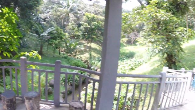 KL Deer park and Lake (Олений парк и озеро Куала-Лумпур) смотреть онлайн