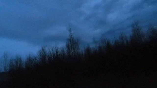 Охота на вальдшнепа 2023 уже скоро ! Woodcock hunting давайте вместе вспомним как это было . смотреть онлайн