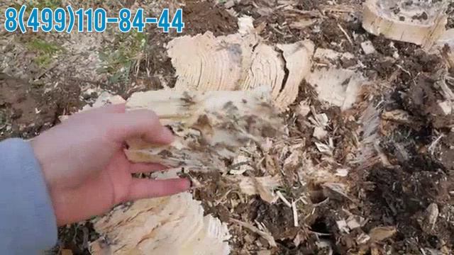 Измельчитель пней FERRI ROTOR. смотреть онлайн