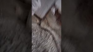 Уборка купершлака（пылесос для купершлака）Воздушный эжектор своими руками