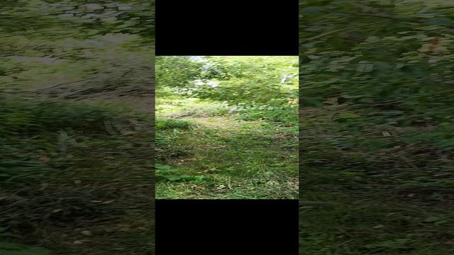 Как я не стал убийцей...