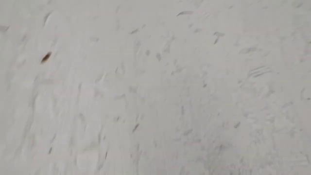 мой 1 день из зимних каникул ? смотреть онлайн