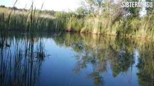 Летняя рыбалка на КАБАНЬИХ ПРУДАХ! Рассказываем про Херабуну!