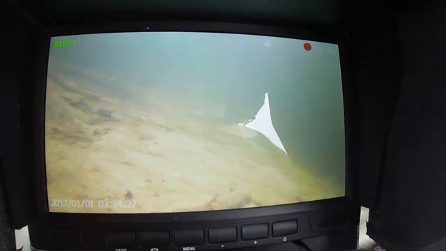 Зимняя рыбалка на новом месте. Подводная съемка. смотреть онлайн