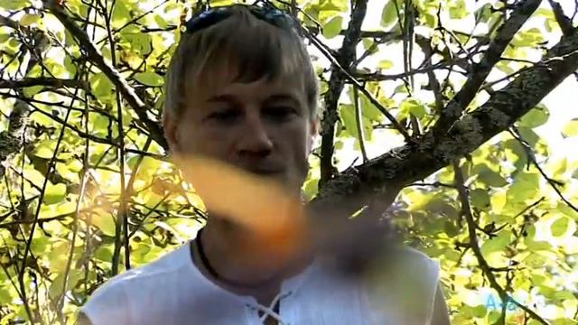 АНДРЕЙ БЕГУН **ЛЕТО** смотреть онлайн