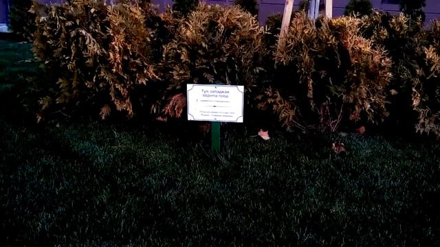 ЖК РАЗ ДВА ТРИ! Новая стройка рядом?! По вашим просьбам! Анапа Новостройки смотреть онлайн