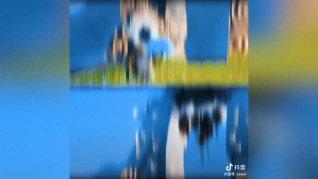 【Douyin - Tiktok #24 】Sky: Children of the Light Compilation#douyin#thatskygame#thatgamecompany смотреть онлайн