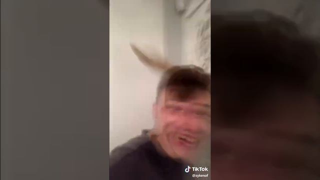 ОСА 😆😆😆😆😆😆😆😆 смотреть онлайн