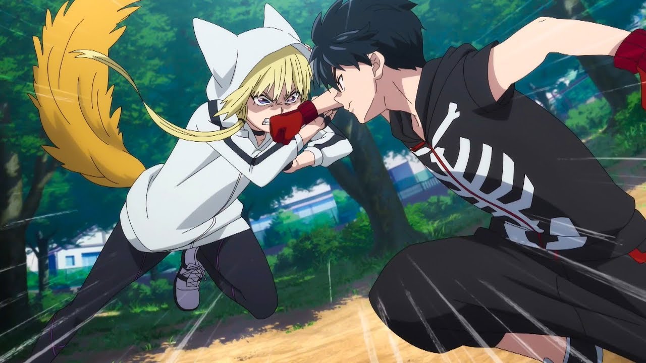 Топ 10 Аниме в жанре ФЭНТЕЗИ_РОМАНТИКА_ЭКШН где ГГ АДСКИ Силен смотреть онлайн