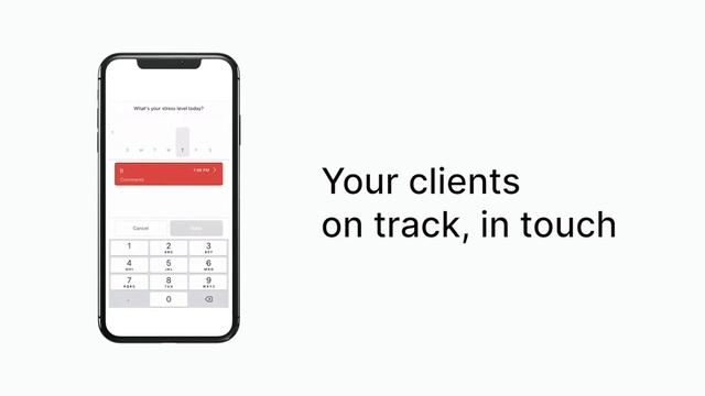 Deliver your coaching program with Nudge Coach смотреть онлайн