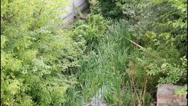 Сброс канализационных вод из Подворок в реку Уды. смотреть онлайн