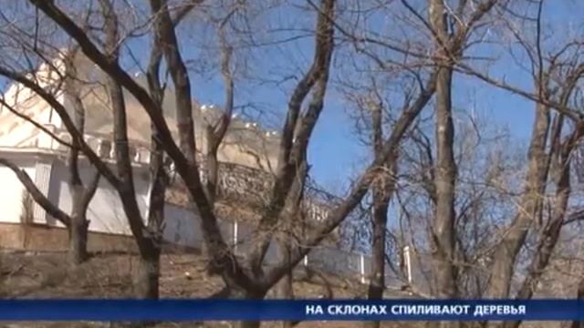 НА СКЛОНАХ СПИЛИВАЮТ ДЕРЕВЬЯ смотреть онлайн