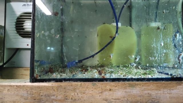 Подготовка до большой высадки... смотреть онлайн