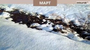 Весенняя погода. Весенние месяцы. Приметы весны.