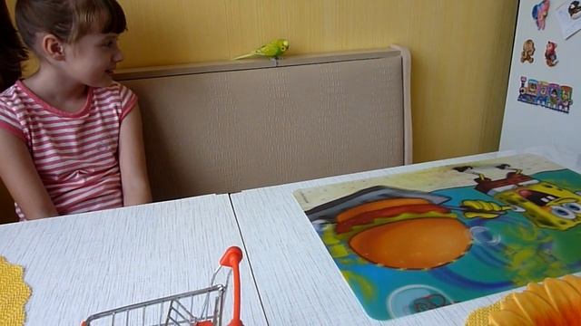 Покупки из зоомагазина//Подарки для Тоши//Как ИГРАЕТ волнистый попугай//зеленый попугайчик TV смотреть онлайн