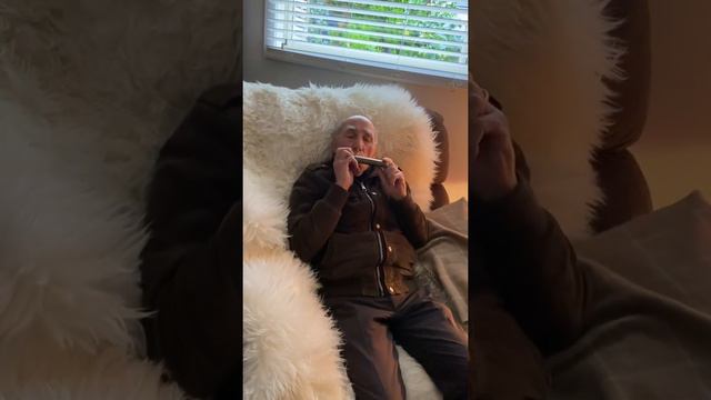 Clarence on the Harmonica Danny Boy смотреть онлайн