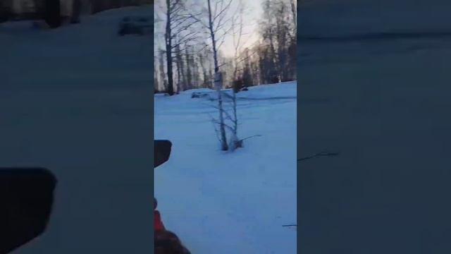 мужской досуг, зарядка для мужчин, мужчина в семье, живой психолог, Роман Мингажев, отношения смотреть онлайн