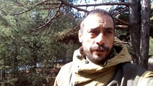 Определение сторон света по солнцу